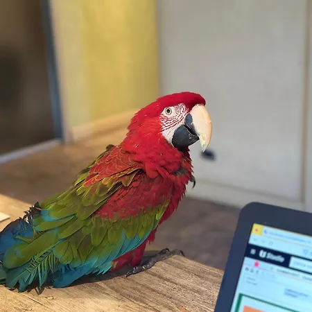 I Leprotti * Abbiategrasso