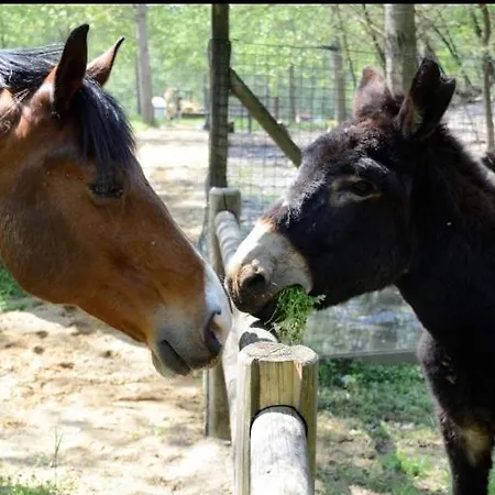 Farm stay I Leprotti Abbiategrasso