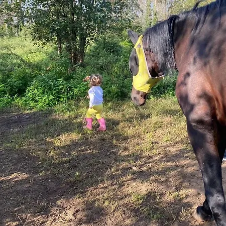 Farm stay I Leprotti *