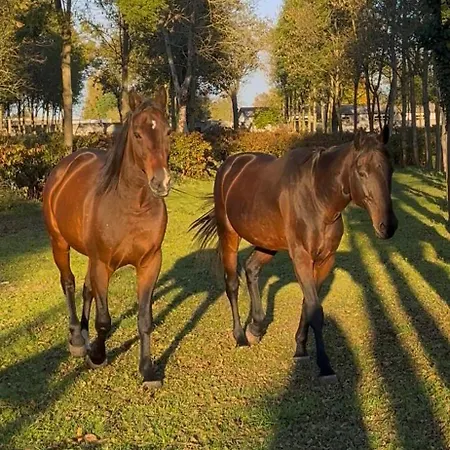 Farm stay I Leprotti Abbiategrasso